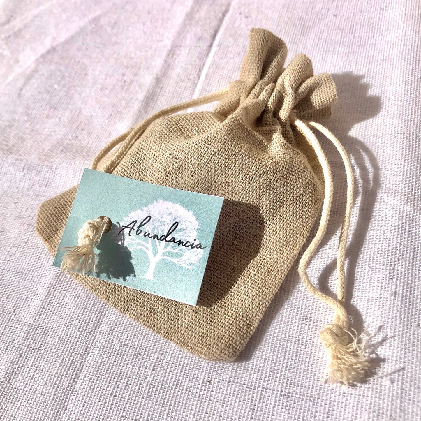 Bolsita de ABUNDANCIA