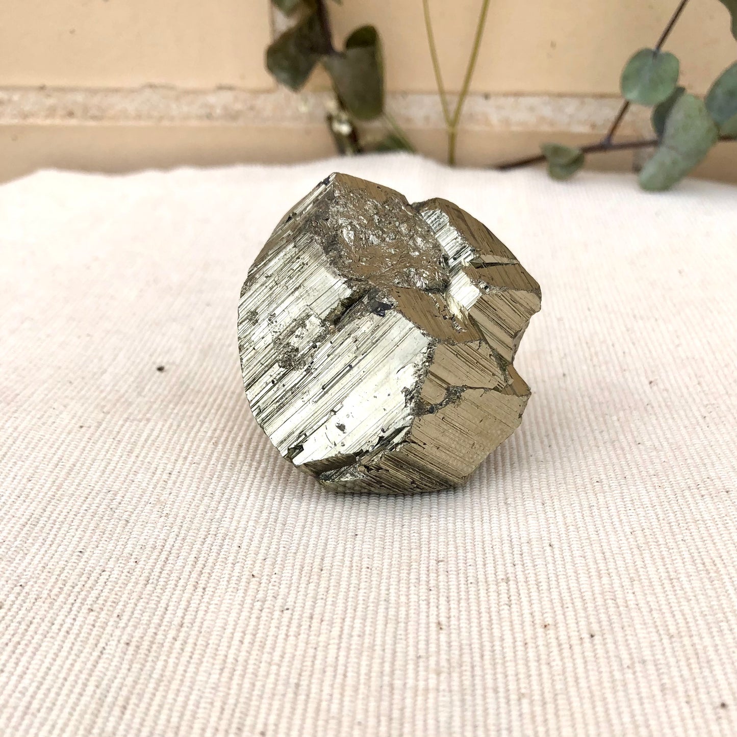 Calavera de Pirita - Exclusiva